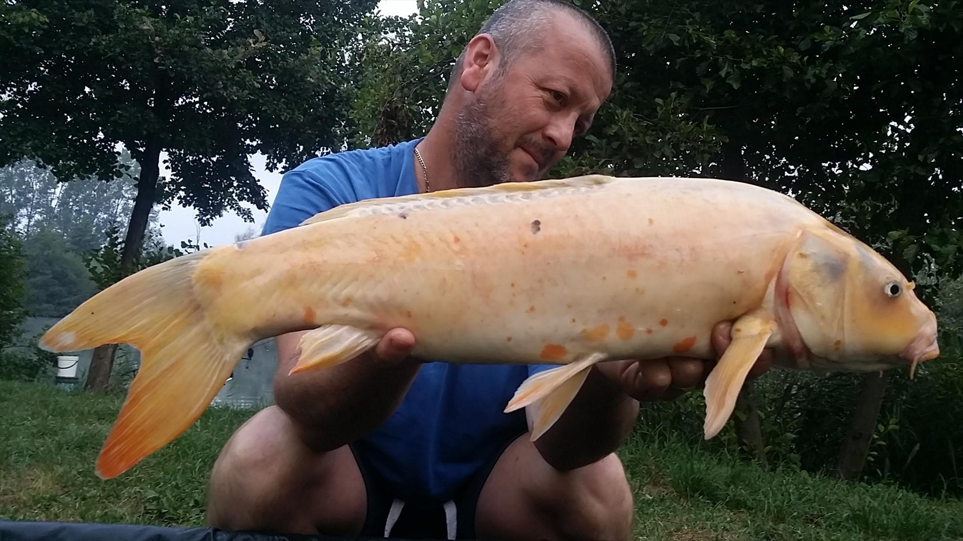 Lago Boschetto 14 - 20 august 2017 - 20170818064506.jpg